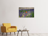 Leinwandbild 3-teilig Mohn im Lavendel