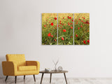 Leinwandbild 3-teilig Der Mohn im Wind