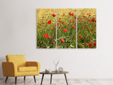Leinwandbild 3-teilig Der Mohn im Wind
