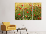 Leinwandbild 3-teilig Der Mohn im Wind