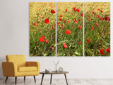 Leinwandbild 3-teilig Der Mohn im Wind