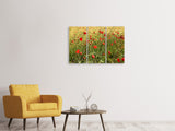 Leinwandbild 3-teilig Der Mohn im Wind