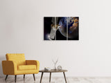 Leinwandbild 3-teilig Mars Mission