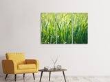 Leinwandbild 3-teilig Gras mit Morgentau XL