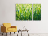 Leinwandbild 3-teilig Gras mit Morgentau XL