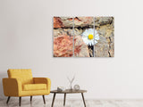 Leinwandbild 3-teilig Blume in der Wand