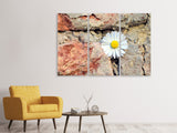 Leinwandbild 3-teilig Blume in der Wand