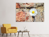 Leinwandbild 3-teilig Blume in der Wand