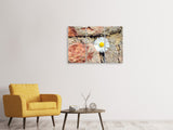 Leinwandbild 3-teilig Blume in der Wand