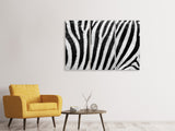 Leinwandbild 3-teilig Streifen vom Zebra