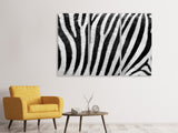 Leinwandbild 3-teilig Streifen vom Zebra