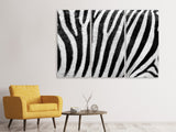 Leinwandbild 3-teilig Streifen vom Zebra