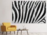 Leinwandbild 3-teilig Streifen vom Zebra