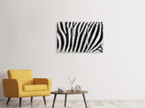 Leinwandbild 3-teilig Streifen vom Zebra