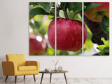 Leinwandbild 3-teilig Apfel in XXL