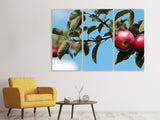 Leinwandbild 3-teilig Apfel am Baum