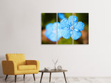 Leinwandbild 3-teilig Blaue Blume mit Morgentau