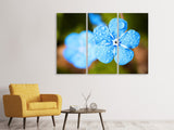 Leinwandbild 3-teilig Blaue Blume mit Morgentau