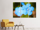 Leinwandbild 3-teilig Blaue Blume mit Morgentau