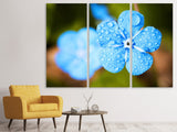 Leinwandbild 3-teilig Blaue Blume mit Morgentau
