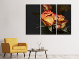 Leinwandbild 3-teilig Rosen der Romantik