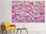 Leinwandbild 3-teilig Rosenblüten in rosa