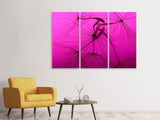 Leinwandbild 3-teilig Pusteblume in pink
