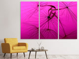 Leinwandbild 3-teilig Pusteblume in pink