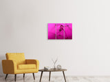 Leinwandbild 3-teilig Pusteblume in pink