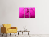 Leinwandbild 3-teilig Pusteblume in pink
