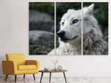 Leinwandbild 3-teilig Der einsame Wolf