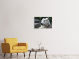 Leinwandbild 3-teilig Der einsame Wolf
