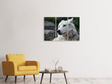 Leinwandbild 3-teilig Der einsame Wolf
