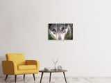 Leinwandbild 3-teilig Der Wolfs Blick