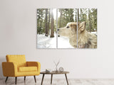 Leinwandbild 3-teilig Der Alaskan Malamute