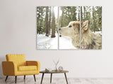 Leinwandbild 3-teilig Der Alaskan Malamute