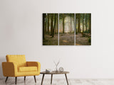 Leinwandbild 3-teilig Wald Lauf