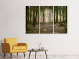 Leinwandbild 3-teilig Wald Lauf