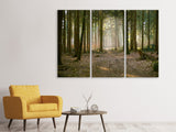 Leinwandbild 3-teilig Wald Lauf