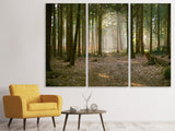 Leinwandbild 3-teilig Wald Lauf