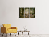 Leinwandbild 3-teilig Wald Lauf