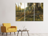 Leinwandbild 3-teilig Arbeiten im Wald