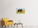 Leinwandbild 3-teilig Prächtiger Elefant