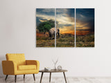 Leinwandbild 3-teilig Der Elefant im Sonnenuntergang