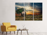 Leinwandbild 3-teilig Der Elefant im Sonnenuntergang