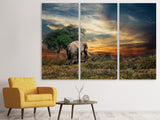 Leinwandbild 3-teilig Der Elefant im Sonnenuntergang