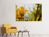 Leinwandbild 3-teilig Gelbe Tulpe in der Natur