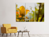 Leinwandbild 3-teilig Gelbe Tulpe in der Natur