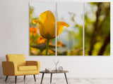 Leinwandbild 3-teilig Gelbe Tulpe in der Natur