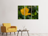 Leinwandbild 3-teilig Gelbe Tulpe XL
